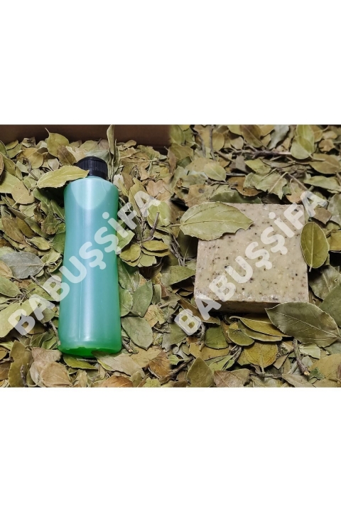 Sidr Seti-02 Orijinal Sidr Sabunu Sidr Şampuanı 100gr Sidr Yaprağı Doğal Manevi Terapi Seti 2