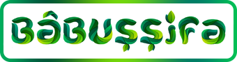 Bâbuşşifa